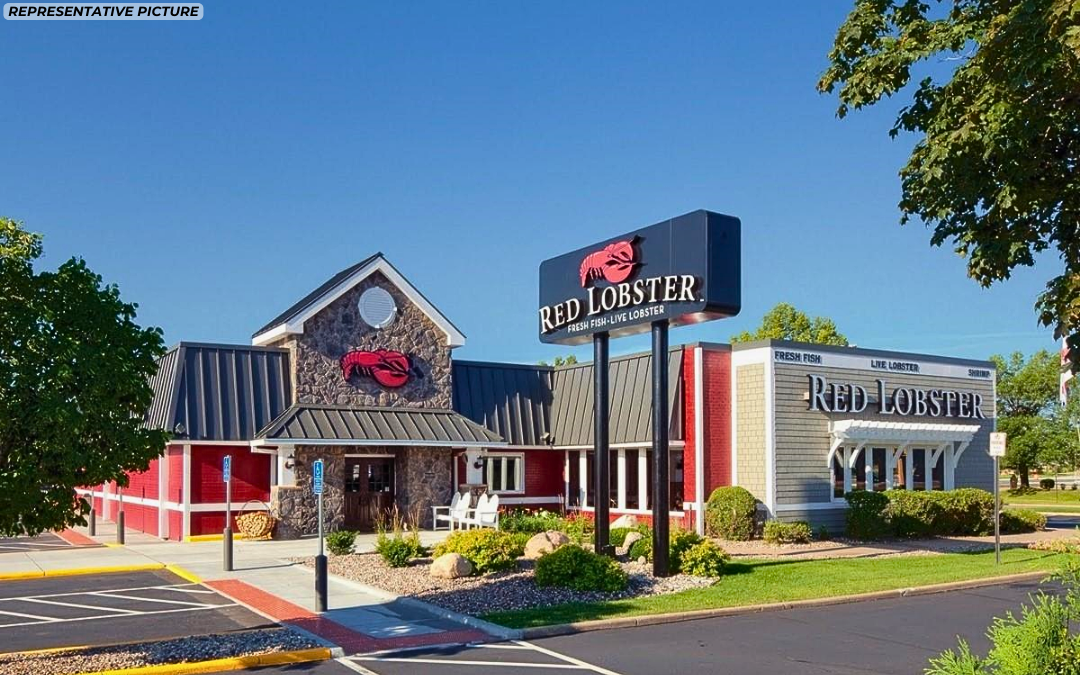 Red Lobster (NNN) Winter Haven, FL